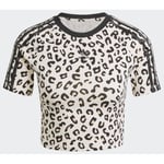 adidas Original Leopard Allover Print Baby T-shirt, storlek XX-Small