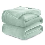 WAVVE Plaid Couverture Polaire Flanelle en Microfibre, Jeté de Canapé 230x270 Vert Clair, Couverture lit Jete de Canape 2 Personnes, Plaid Fourrure Grand Chaud et Doux en Peluche, 270x230