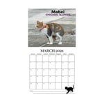 2021 Animal Calendar Simple Cat and Dog Wall Calendar Gift for Office Home,Premium Thick Paper for Organising/Planning/Twin-Wire Binding