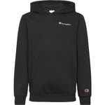 Champion ICONS Hoodie Gutt