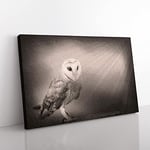 Light Upon The Barn Owl Modern Art Canvas Wall Art Print Ready to Hang, Framed Picture for Living Room Bedroom Home Office Décor, 76x50 cm (30x20 Inch)