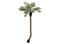 Phoenix palm tree luxor curved artificial plant 240cm