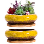 ARTKETTY Lot de 2 Pots de Fleurs succulentes - 18,5 cm - Grands Pots à bonsaï avec Plateau - en céramique avec Trou de Drainage - pour Cactus Peu Profonds - pour intérieur et extérieur - Jaune