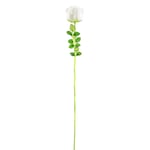 Europalms Crystal rose, white 81cm 12x