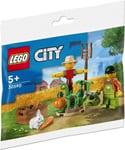 LEGO City Farm Garden and Scarecrow Polybag Set 30590