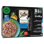 Sheba Nature´s Collection pour Chat Adulte - Sélection aux Poissons en Sauce - Nourriture Humide pour Chats - Sachets fraîcheur 85g (Lot de 12x4)