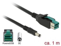 Delock Strømforsynt USB-kabel - USB PlusPower (12 V) til DC-jakk på 2 1/5 5 mm - 1 m