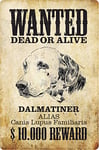 Schatzmix Plaque Murale en métal avec Inscription Wanted Dead Alive Dalmatiner 20 x 30 cm