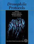 Drosophila Protocols