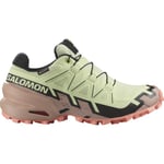 SALOMON Speedcross 6 Gore-tex W - Vert / Noir taille 40 2025