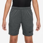 Nike Shorts Dri-FIT Academy - Grå/Svart Barn, storlek L: 147-158 cm