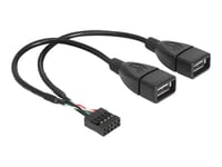 Delock - Usb-Intern Till Extern Kabel - Usb (Hona) Till 9-Stifts Usb-Överdel (Hona) - 20 Cm