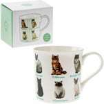 Mug Assorted Cats Beaker Coffee Tea Cup Cut Home Present Gift Fine China Boxed