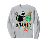 Black Cat Pushing Christmas Tree Lighting Funny Cat What Sweatshirt