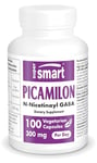 Supersmart - Picamilon 300 mg Per Day - Gamma-Aminobutyric Acid Supplements - with B3 Niacin for Stress Relief | Gluten Free - 100 Vegetarian Capsules