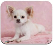 NA Chihuahua Puppy Dog Sitting in Pink Low Profile Thin Mouse Pad Tapis de Souris, Tapis de Souris de Jeu