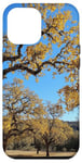 Coque pour iPhone 12 Pro Max Majestic Oak Trees Feuilles Dorées Automne