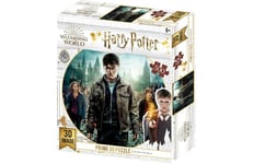 Harry Potter 3D Puzzle 500 pieces (R)