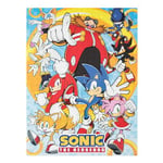 Grupo Erik - Puzzle Sonic 500 Pièces | Puzzle Adulte et Enfant, Cadeau Friends, Puzzle Cinema