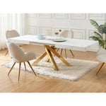 Vente-unique Table à manger extensible 6 à 10 personnes en MDF et métal - Effet marbre blanc et doré - CATONAV