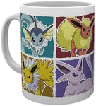 Pokemon Evolin Evolution mugg