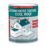 Peinture toiture blanche Cool Roof, peinture réfléchissante et imperméable PROCOM 2.5 litres Blanc