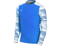 Nike Dry Park Iv Jsy Ls Gk Junior Goalkeeper Sweatshirt Blue Cj6072 463 Xl