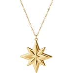 Georg Jensen Christmas Collection 2024 Stjerne julepynt, 18K gullbelegg