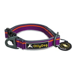 OllyDog Urban Trail Reflective Collar Wild Aster, S