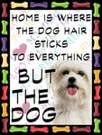 SHAWPRINT Bichon Frise Dog Fridge Magnet 100mm x 75mm HOME IS WHERE THE DOG HAIR STICKS TO EVERYTHING BUT THE DOG Novelty Gift