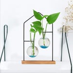 Stations de Propagation Plantes Bureau, Vase DéCoration Fleurs Hydroponiques, Maison Salon en Verre Transparent 1