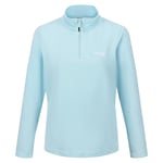 Regatta Great Outdoors Womens/Ladies Sweetheart 1/4 Zip Fleece Top (Sea Haze) - Light Blue material_polyester - Size 14 UK