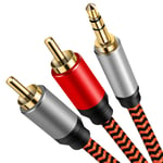 3.5mm to 2RCA Cable 1m, Youii 3.5mm to 2-Male RCA Adapter Audio Cable [Hi-Fi Sound] [Heavy Duty] Nylon-Braided AUX Y Cord for Stereo Receiver Speaker Smartphone Tablet HDTV Echo Dot & More.