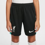 Liverpool Borteshorts 2024/25 Barn - Nike, størrelse XL: 158-170 cm