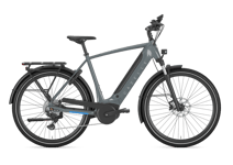 Gazelle Ultimate T10 HMB 500Wh 53