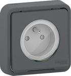 Schneider Electric SC5SHN0212457 Prise de courant 2 pôles+terre Styl mureva encastrée, 250 V, Gris