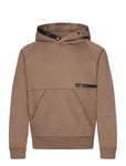 Race Bonded Hood Sport Sweat-shirts & Hoodies Hoodies Brown Sail Racing