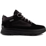 Timberland Mens Field Trucker Low Trainers - Black - Size UK 7