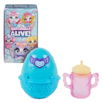 HATCHIMALS ALIVE - Pack de 1 Hatchimals + Biberon - Oeuf 1 Figurine À Collectionner Et 2 Accessoires - A Faire Eclore Avec De L'Eau - Thème Bébé - Jouet Enfant 3 Ans et + - Modèle Aléatoire - Neuf