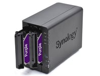 Serveur NAS Synology DS223 24To avec 2x disques durs WD 12To PURPLE