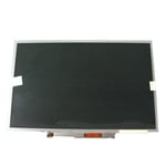 DELL 13 3 Inch LCD Display