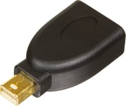 Deltaco MDP-DP - DisplayPort-adapter - Mini DisplayPort (hann) til DisplayPort (hunn) - svart