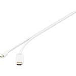 Câble adaptateur Renkforce Mini-Display / hdmi Fiche mâle Mini DisplayPort, Fiche mâle hdmi-a 0.50 m blanc RF-3697532 c