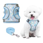 PawSailor Extra Small Dog Harness with Leash Set, Step-in Air Mesh Floral Print No Pull Vest Harness, Adjustable Reflective Soft Padded Escape Proof Pet Harness Blue XXXS