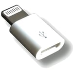 Adaptateur Lightning mâle Iphone - Micro USB femelle S04AC