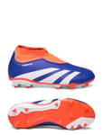 Predator League Laceless Football Boots Firm Ground Blue Adidas Performance