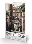 Pyramid International Cambridge (Trinity College) -Wood Print 45 x 76cm, Multi-Colour, 45 x 76 x 1.3 cm