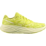 Salomon Aero Glide 2 Homme Jaune