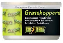 ExoTerra Tørkede Gresshopper - 34g