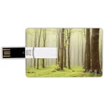 8G USB Flash Drives Credit Card Shape Woodland Decor Memory Stick Bank Card Style Misty Spring Beech Forest Photo Taken in the Mountains of Central Europe Waterproof Pen Thumb Lovely Jump Drive U Dis